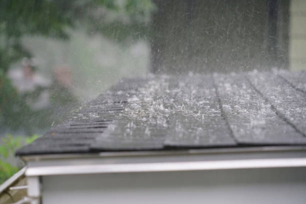 Best Roof Insulation Installation  in Grant, MI