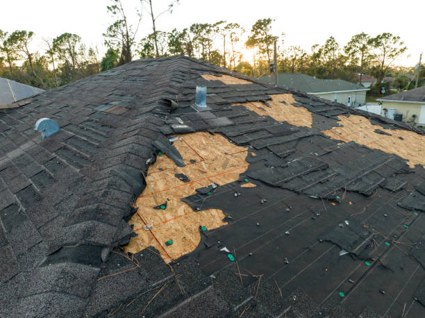 Best Rubber Roofing (EPDM, TPO)  in Grant, MI