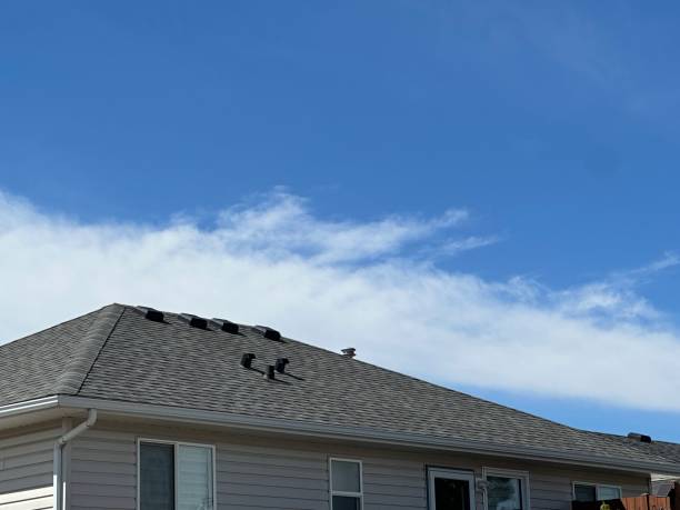 Best Metal Roofing Installation  in Grant, MI